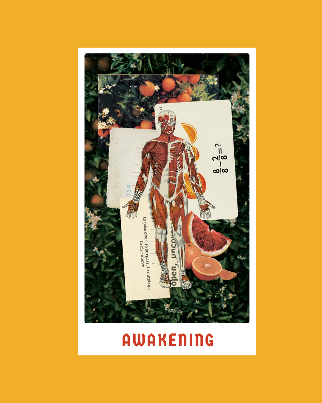 Awakening, Reversed