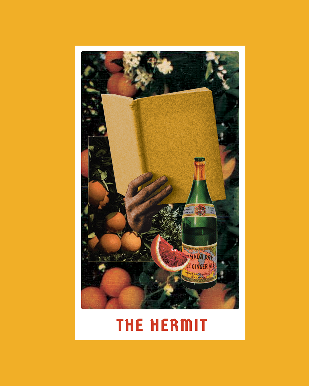 The Hermit