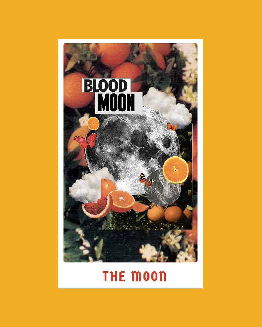 The Moon