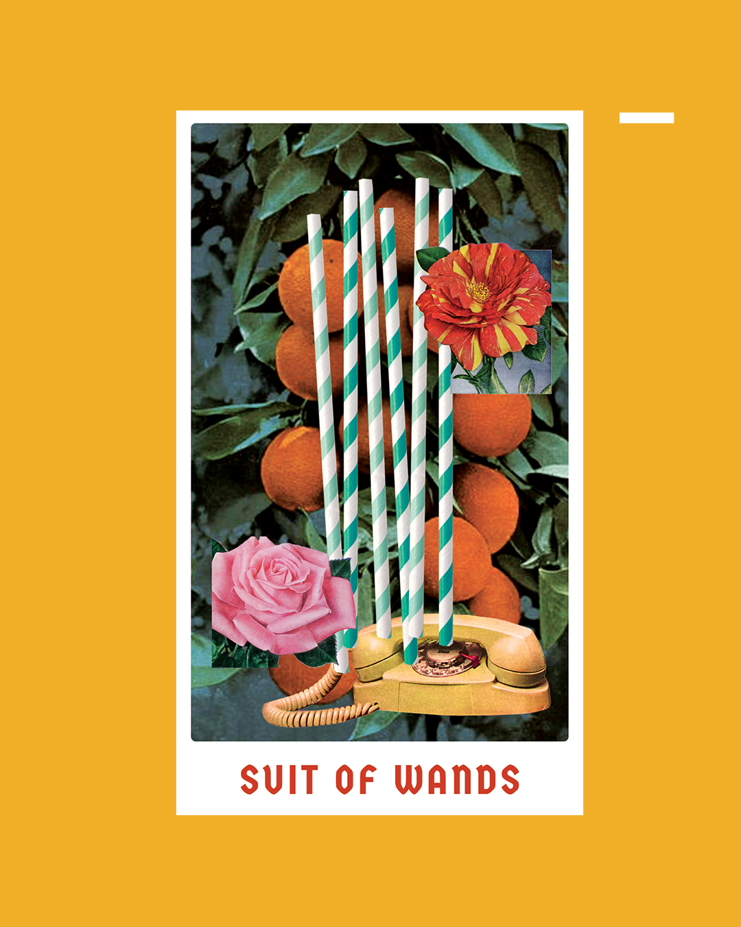 Ace of Wands