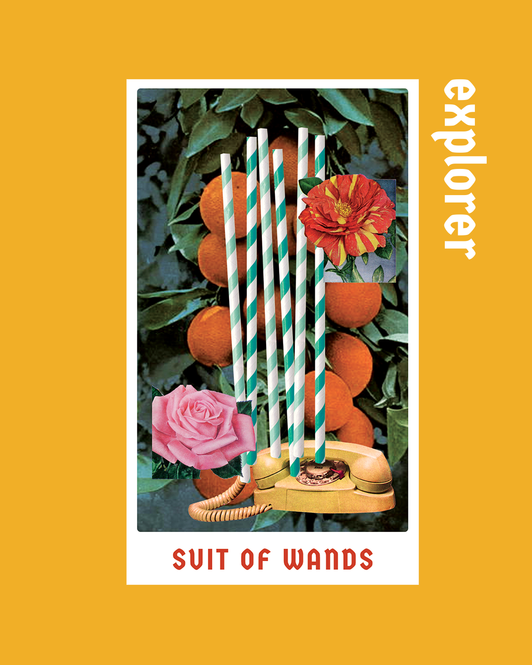 Explorer of Wands