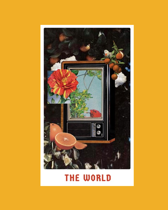 The World